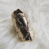 Cypress Large Ring