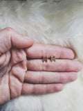 H Initial Studs