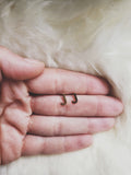 J Initial Studs