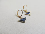SALE-Reticulated Triangle Drops